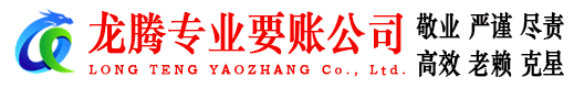 仪征龙腾收债公司
